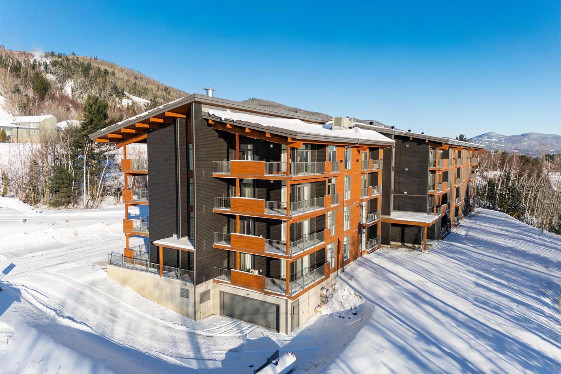 Les Appartements Du Massif De Charlevoix 圣弗朗索瓦小河 外观 照片