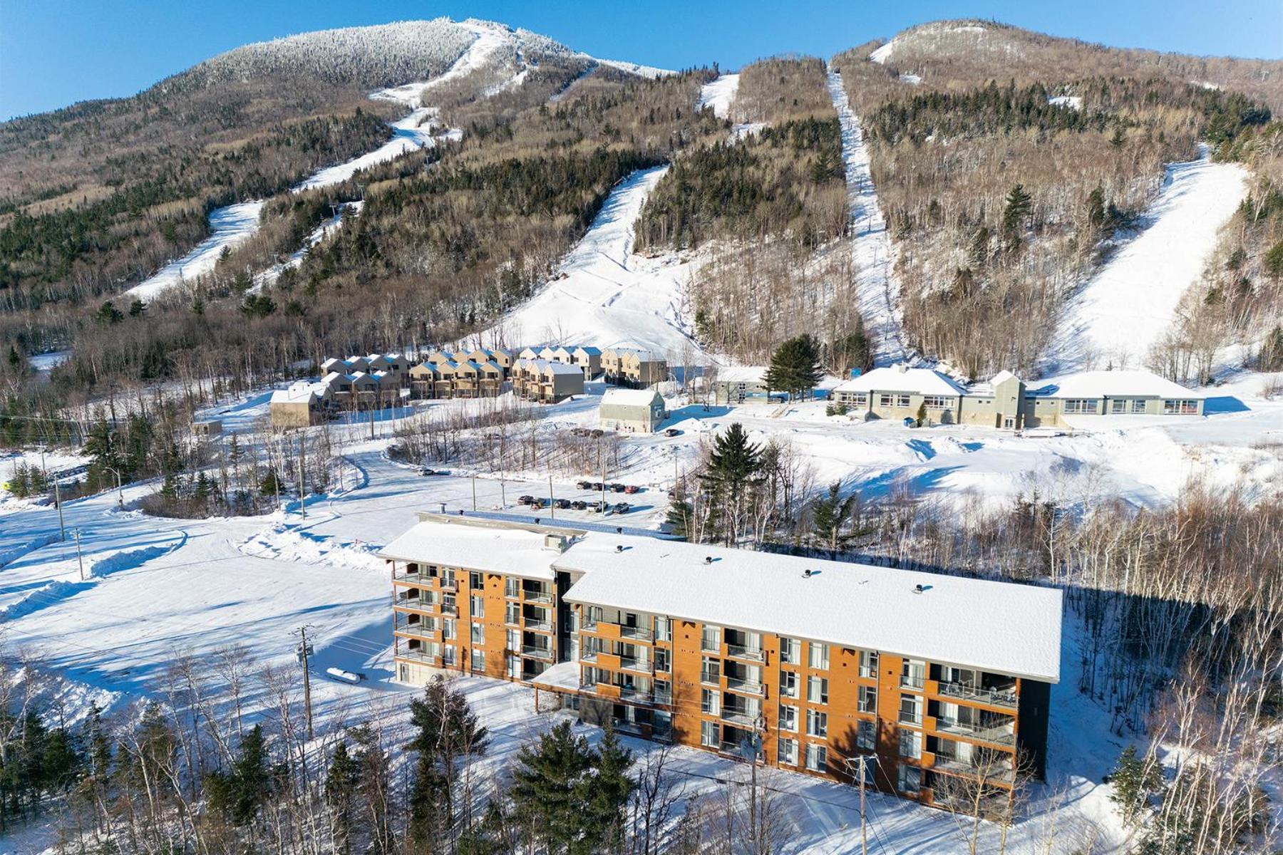 Les Appartements Du Massif De Charlevoix 圣弗朗索瓦小河 外观 照片