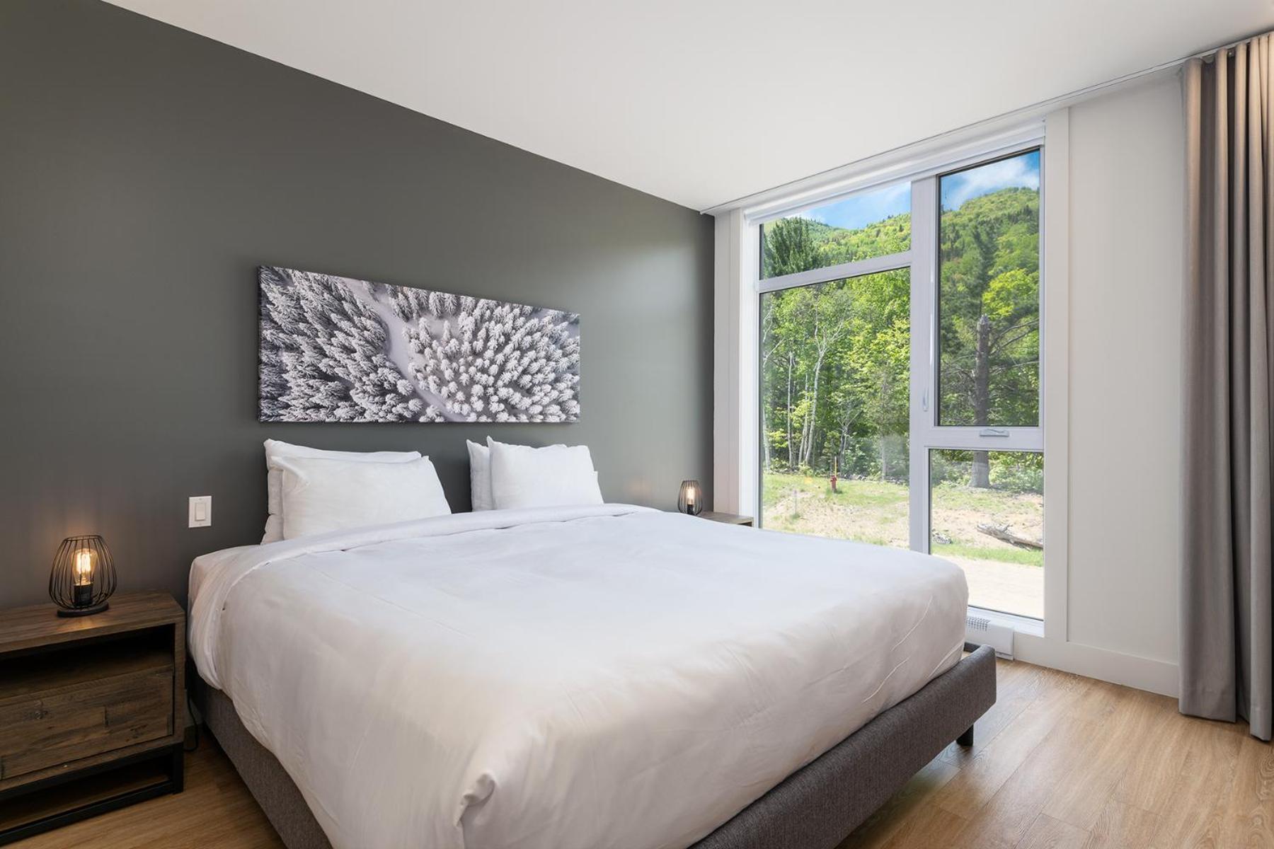 Les Appartements Du Massif De Charlevoix 圣弗朗索瓦小河 客房 照片