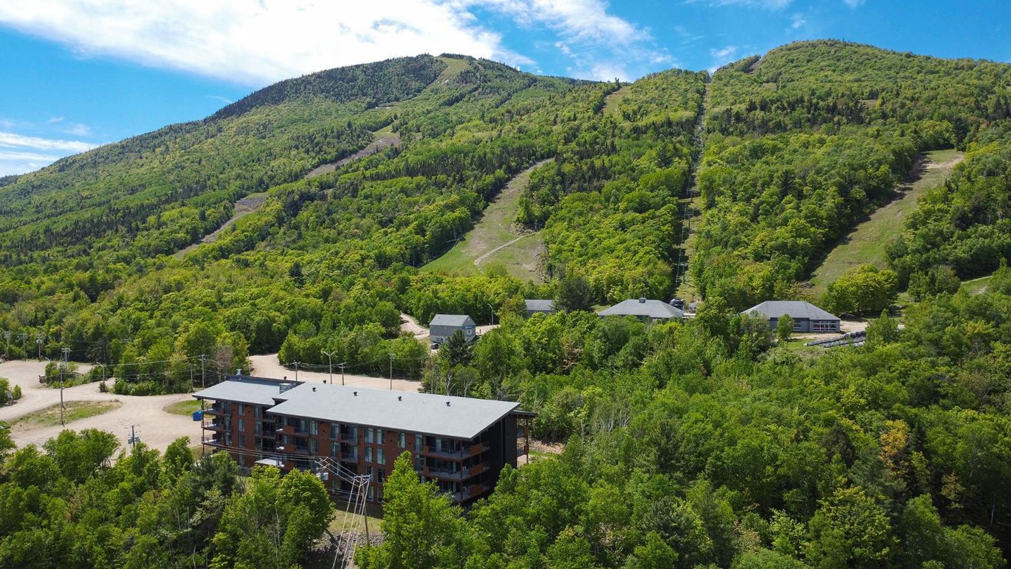 Les Appartements Du Massif De Charlevoix 圣弗朗索瓦小河 外观 照片