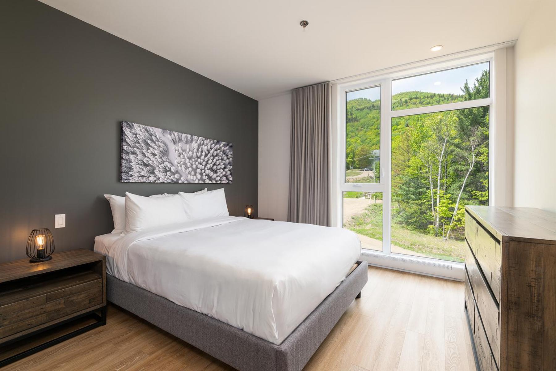 Les Appartements Du Massif De Charlevoix 圣弗朗索瓦小河 客房 照片