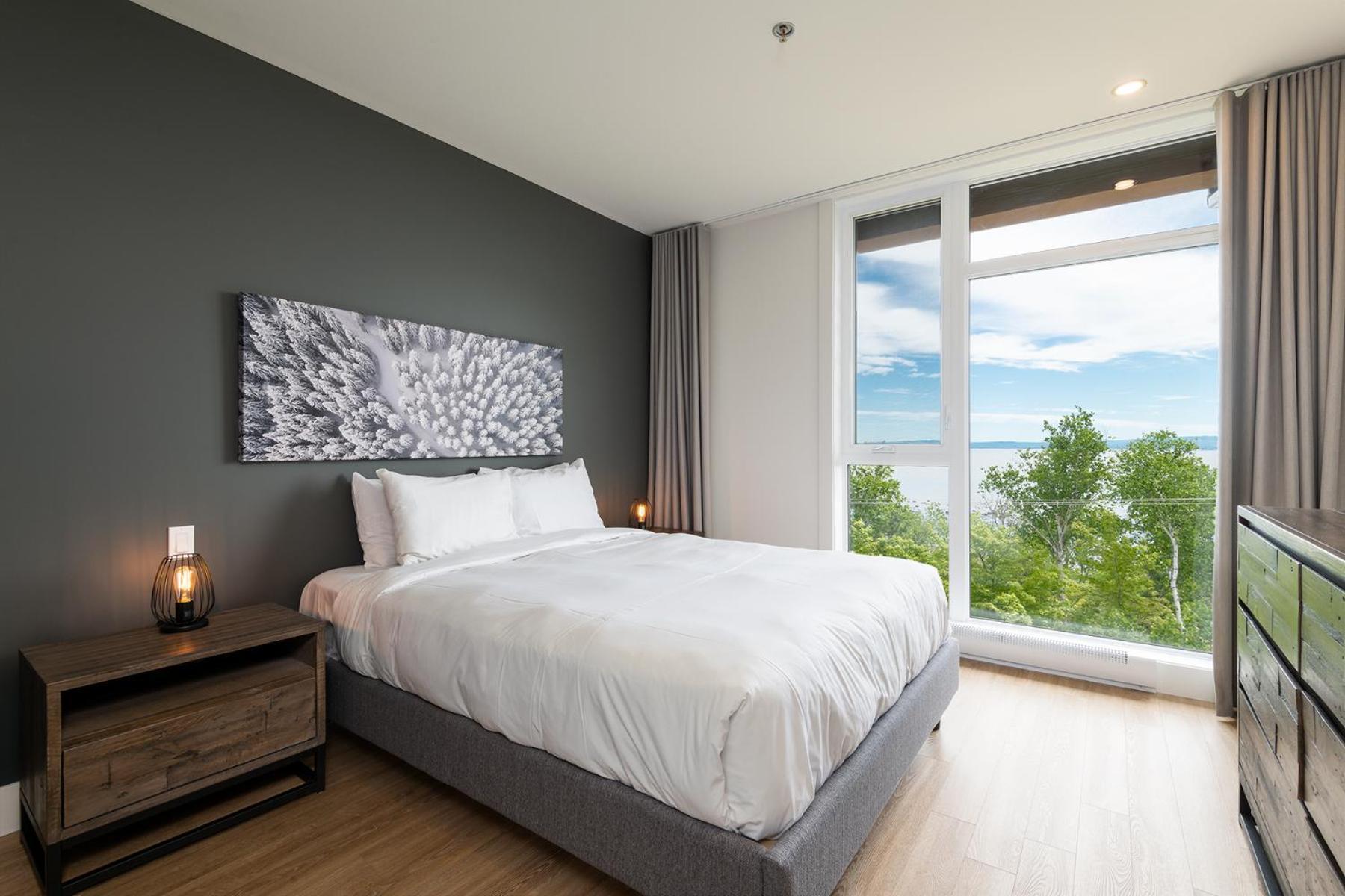 Les Appartements Du Massif De Charlevoix 圣弗朗索瓦小河 外观 照片