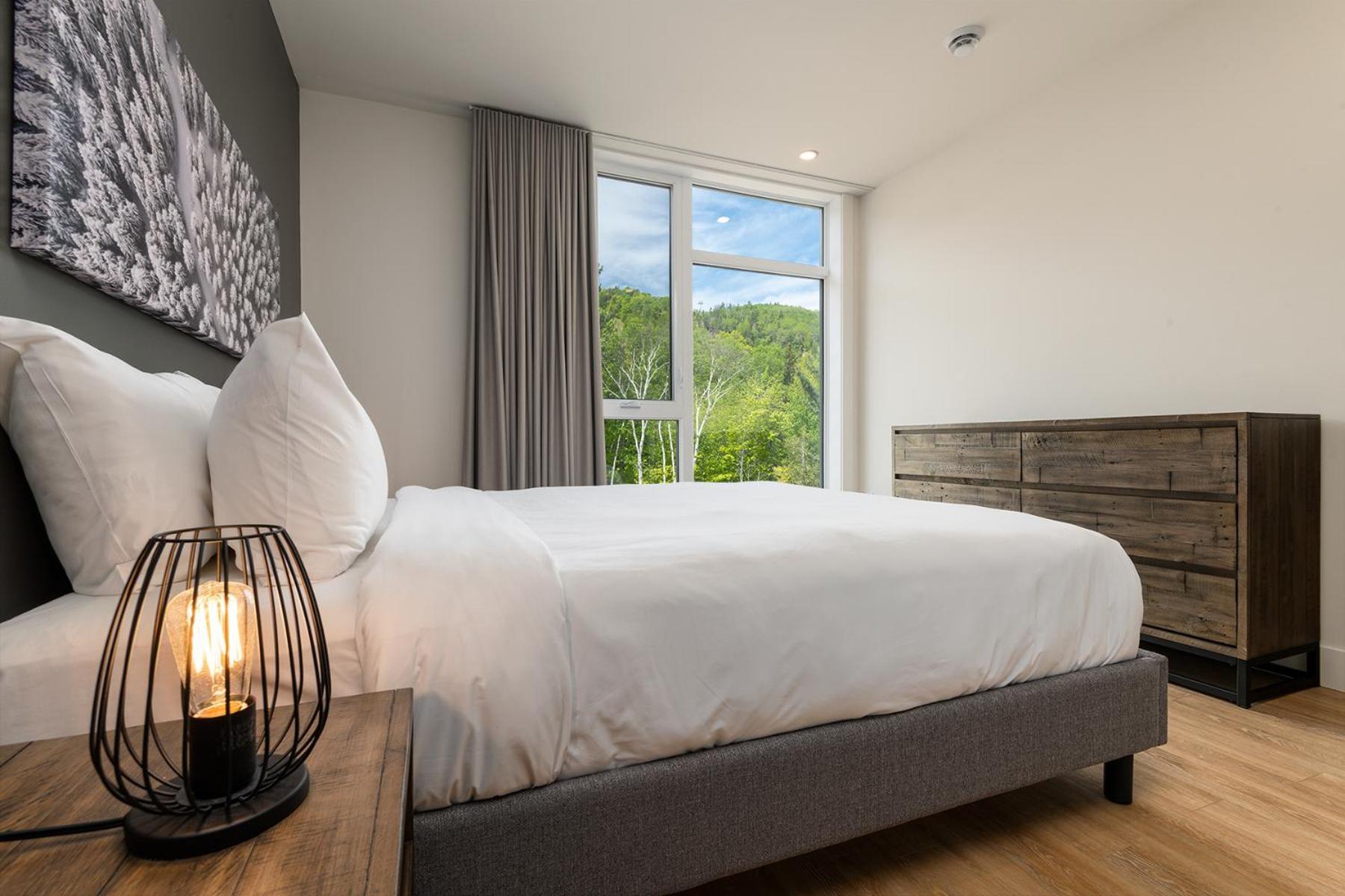 Les Appartements Du Massif De Charlevoix 圣弗朗索瓦小河 客房 照片