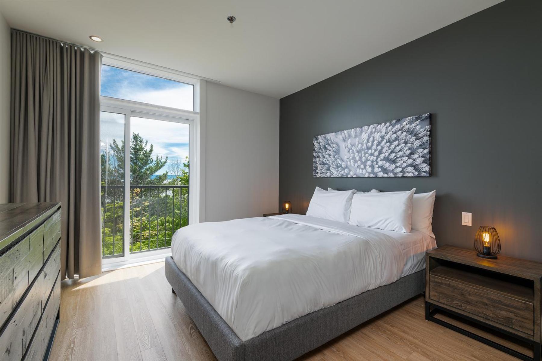 Les Appartements Du Massif De Charlevoix 圣弗朗索瓦小河 外观 照片